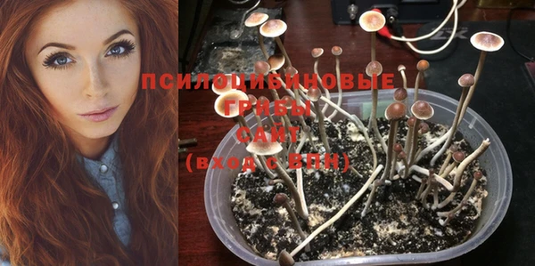 кокс Абинск