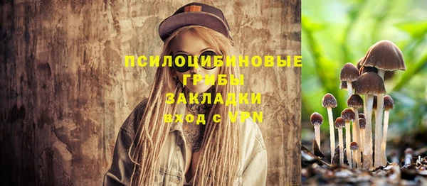 apvp Абдулино