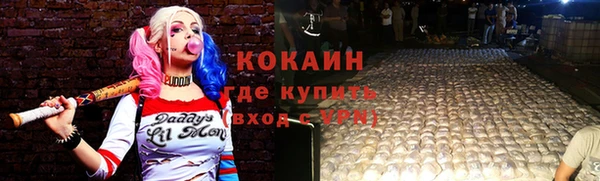 твердый Абаза
