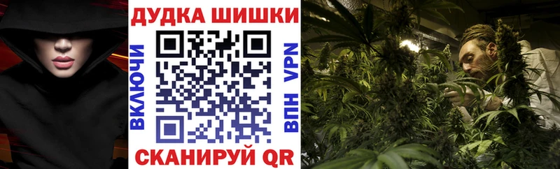 где купить наркоту  Тарко-Сале  Бошки Шишки гибрид 